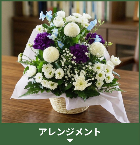 �A�����W�����g
