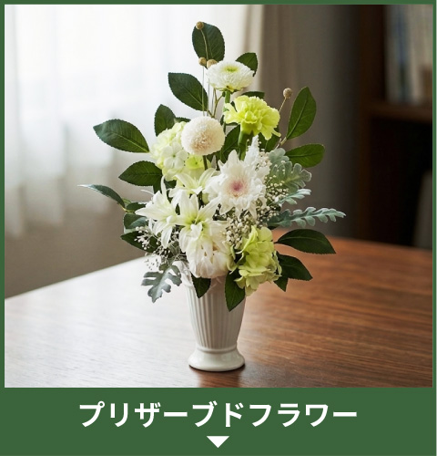 �v���U�[�u�h�t�����[