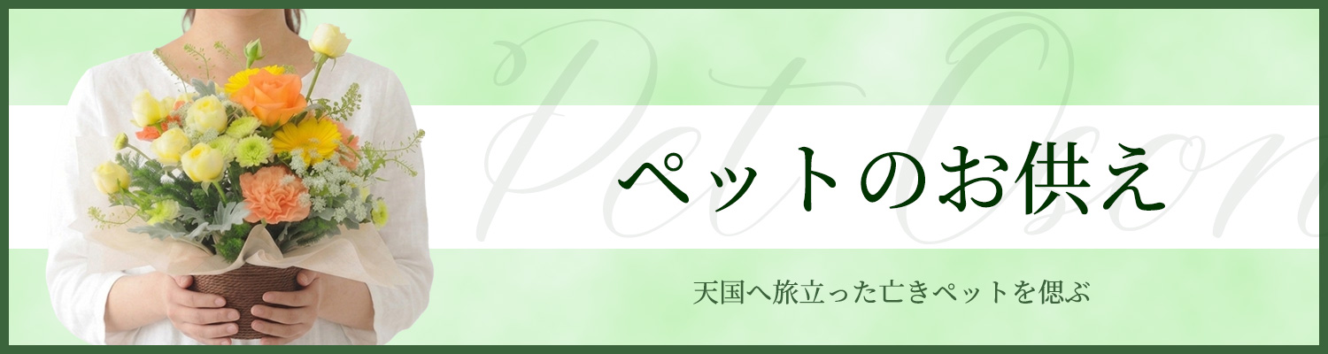 �y�b�g�̂�����