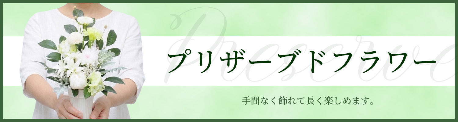�v���U�[�u�h�t�����[