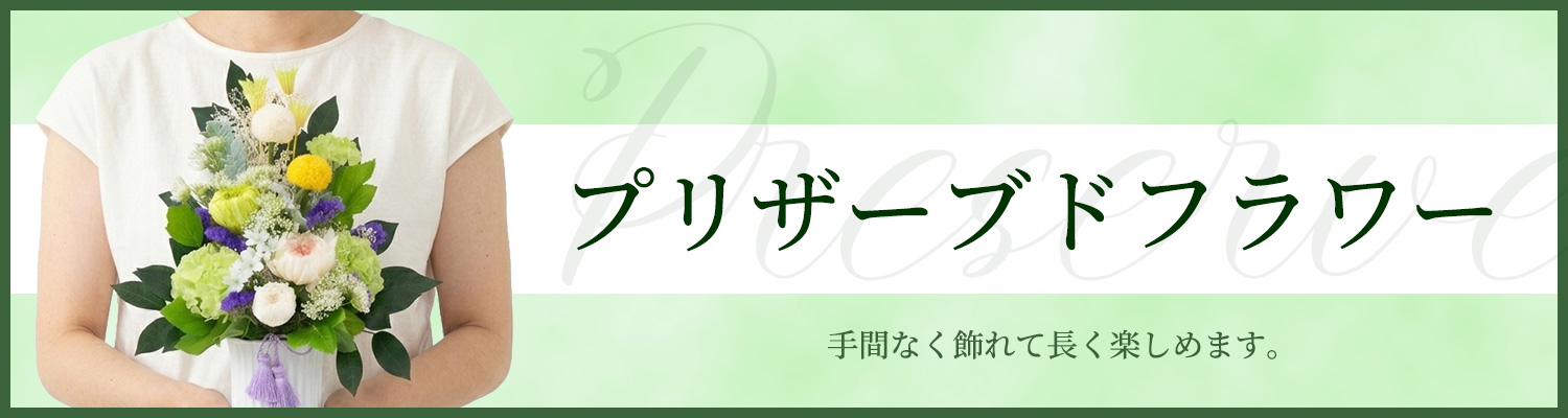 �v���U�[�u�h�t�����[