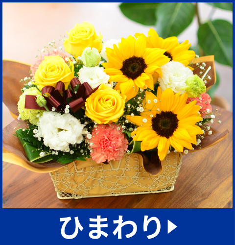 �Ђ܂��