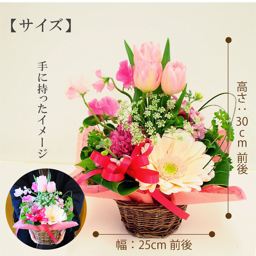 春のアレンジメント キュート 春の花贈り エーデルワイス 花の贈り物 フラワーギフト通販 花宅配 水戸市