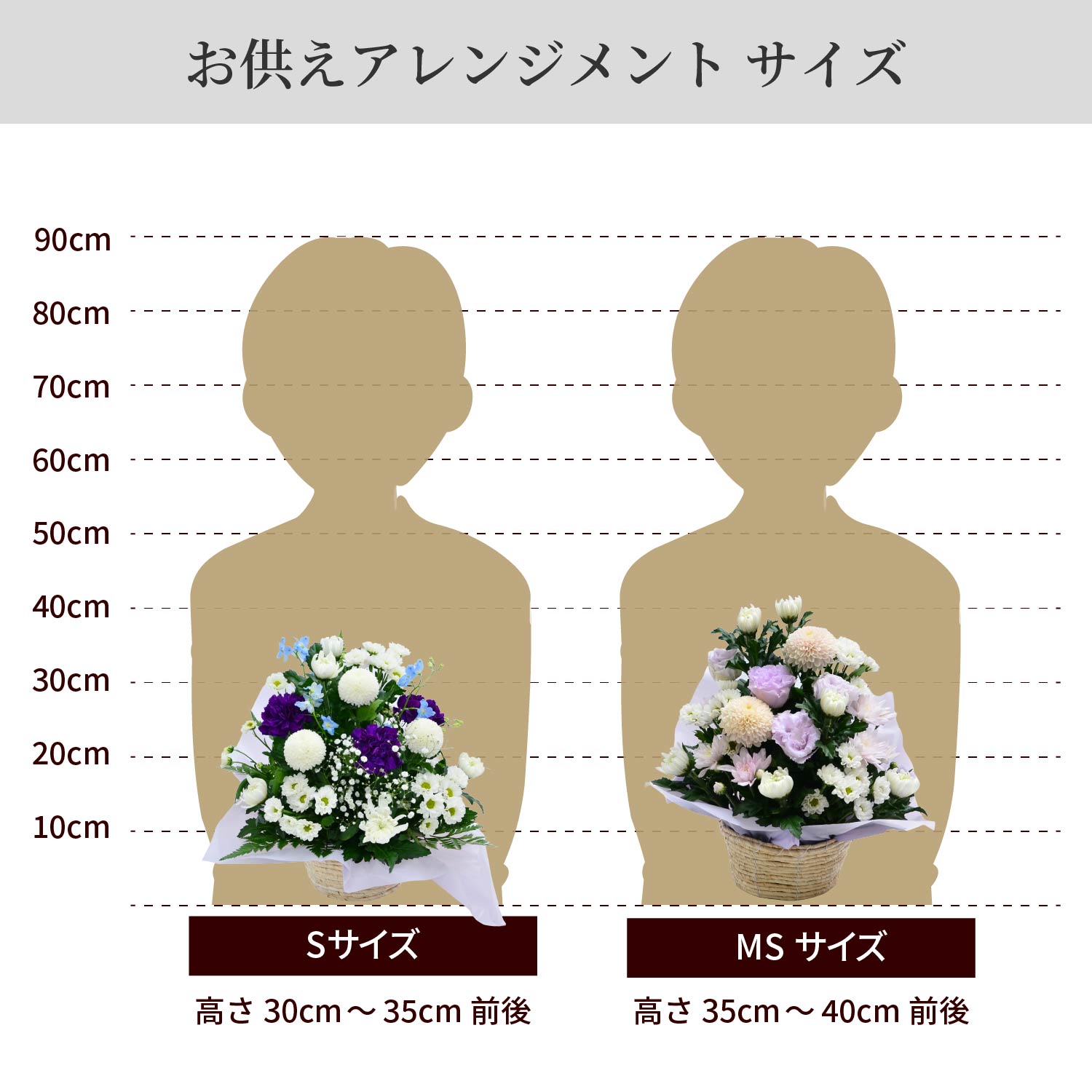 �������A�����W�����gS�@MS