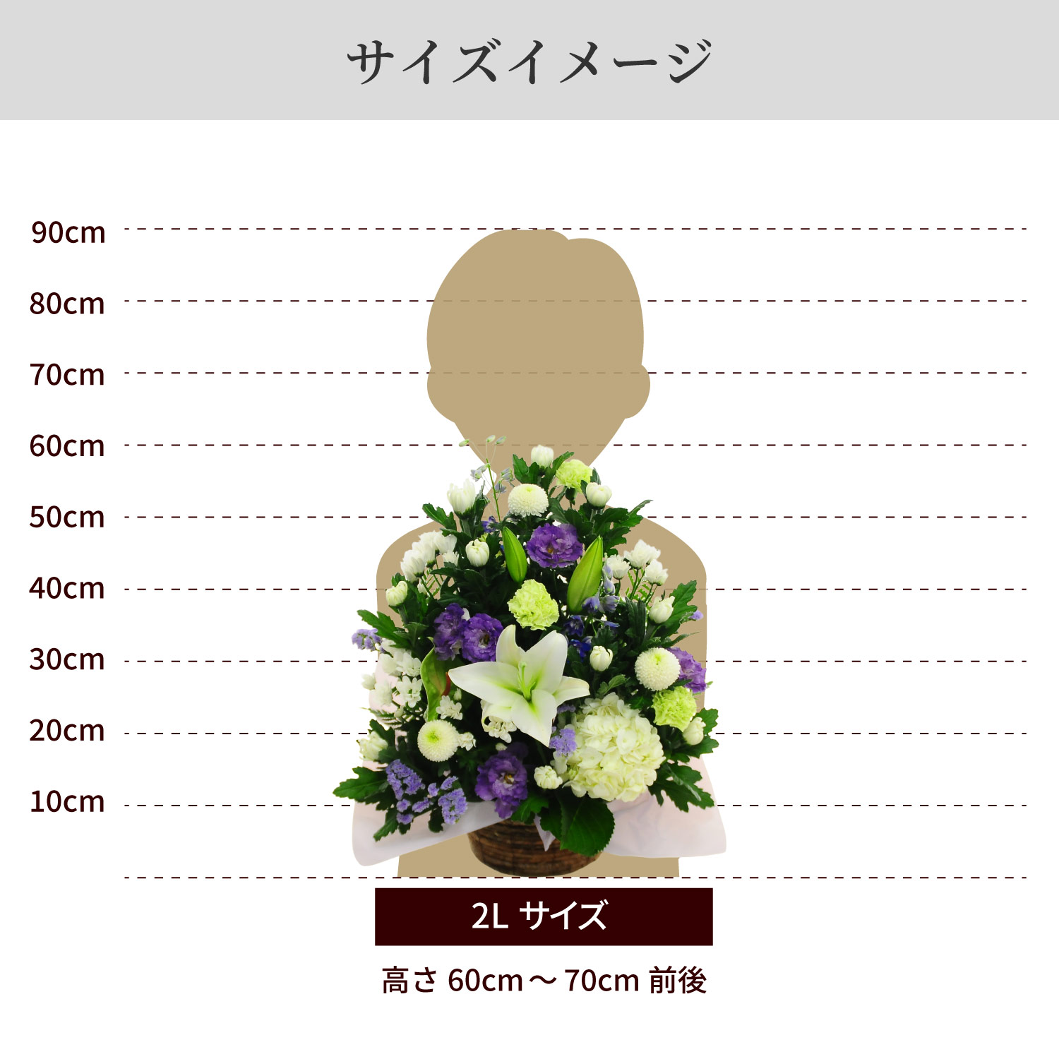 �T�C�Y�C���[�W