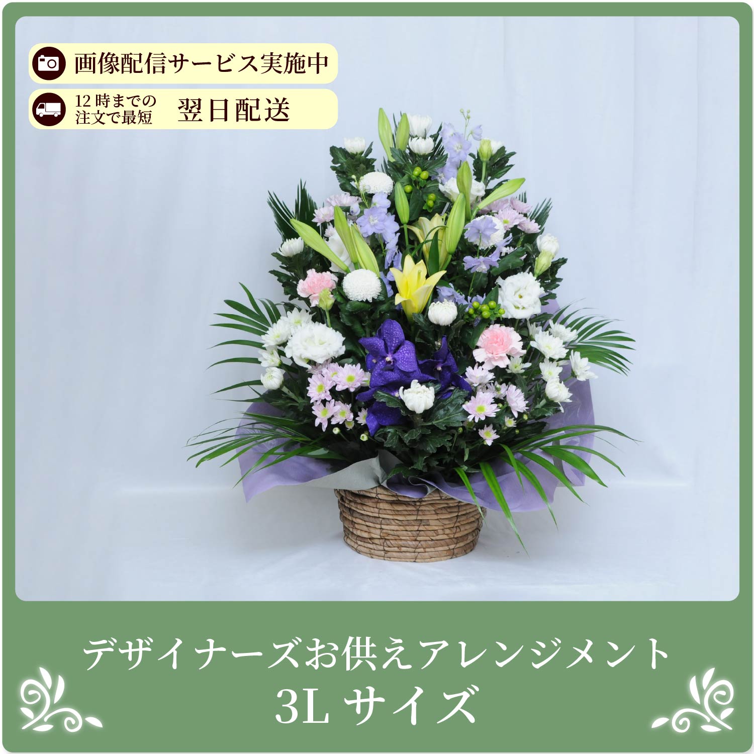 �f�U�C�i�[�Y�������A�����W�����gs