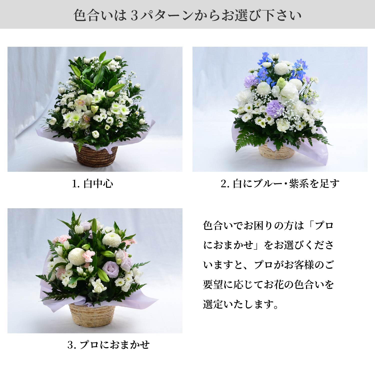 �F������3�p�^�[�����炨�I�т�������