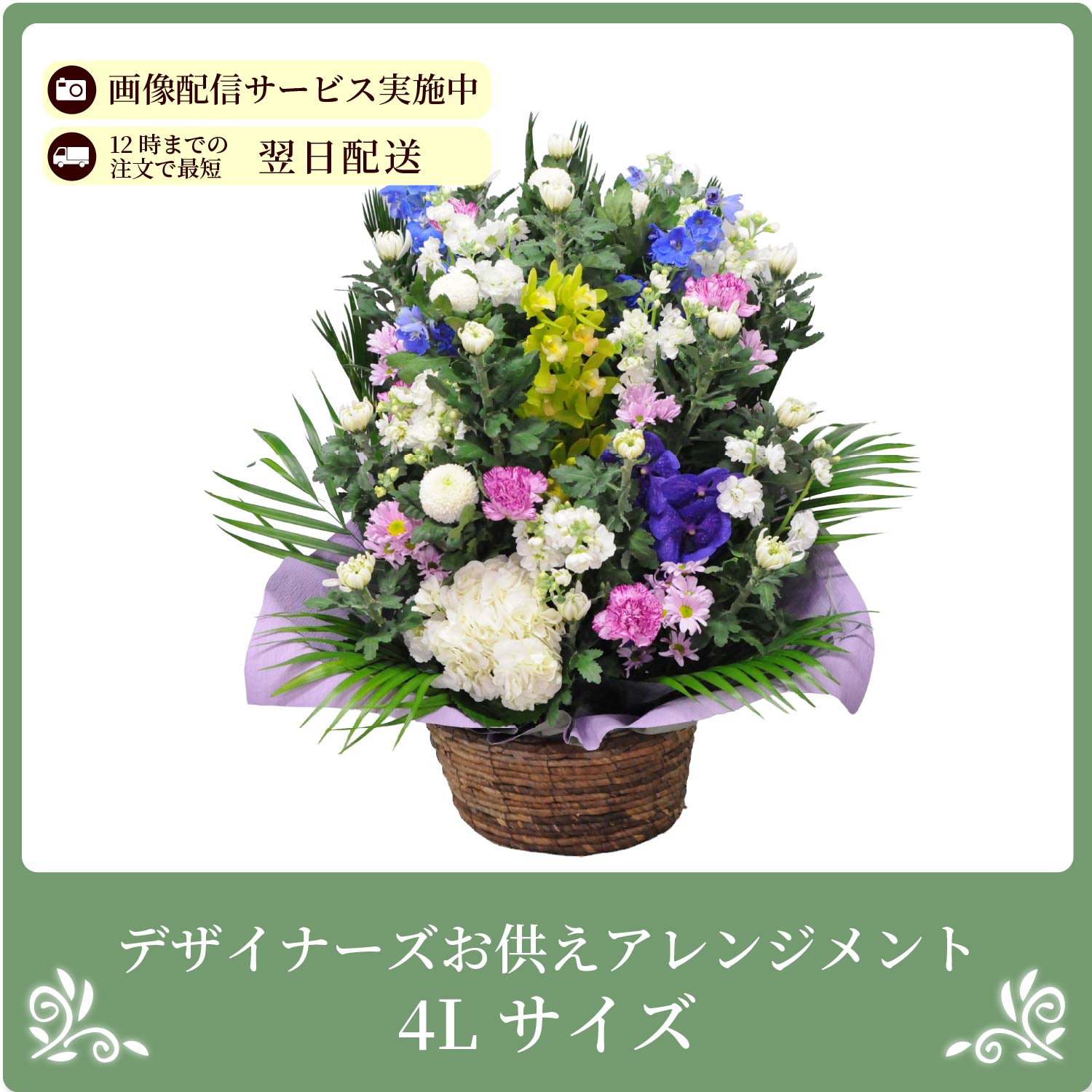 �f�U�C�i�[�Y�������A�����W�����gs