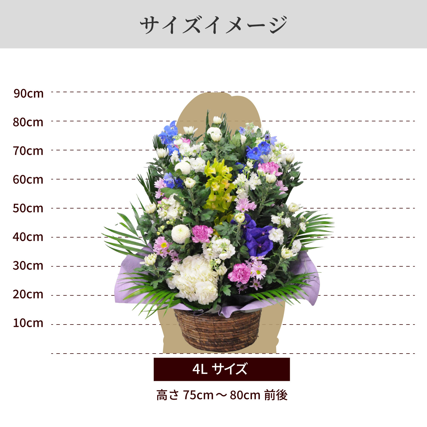 �T�C�Y�C���[�W