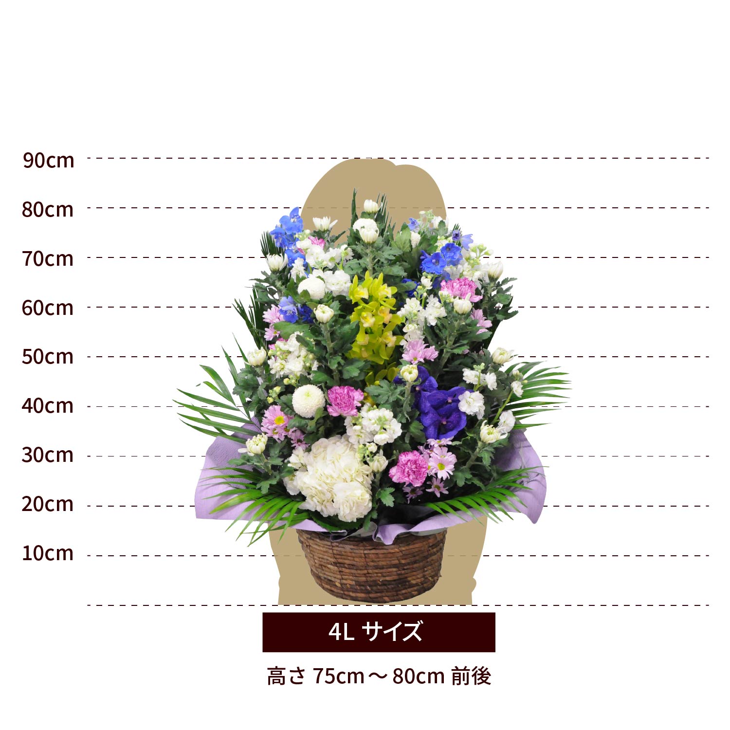 �������A�����W�����g4L