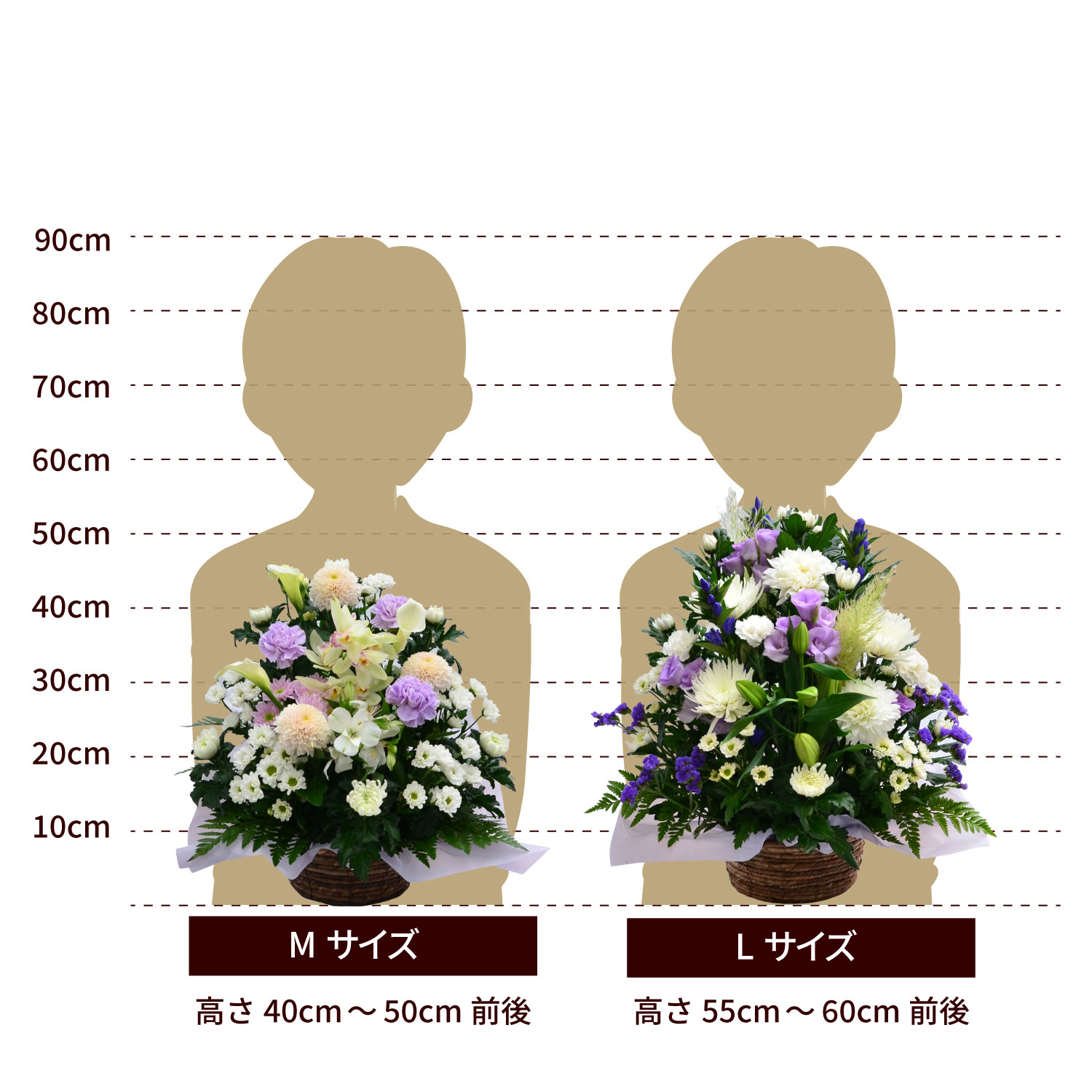 �������A�����W�����g�T�C�Y M L