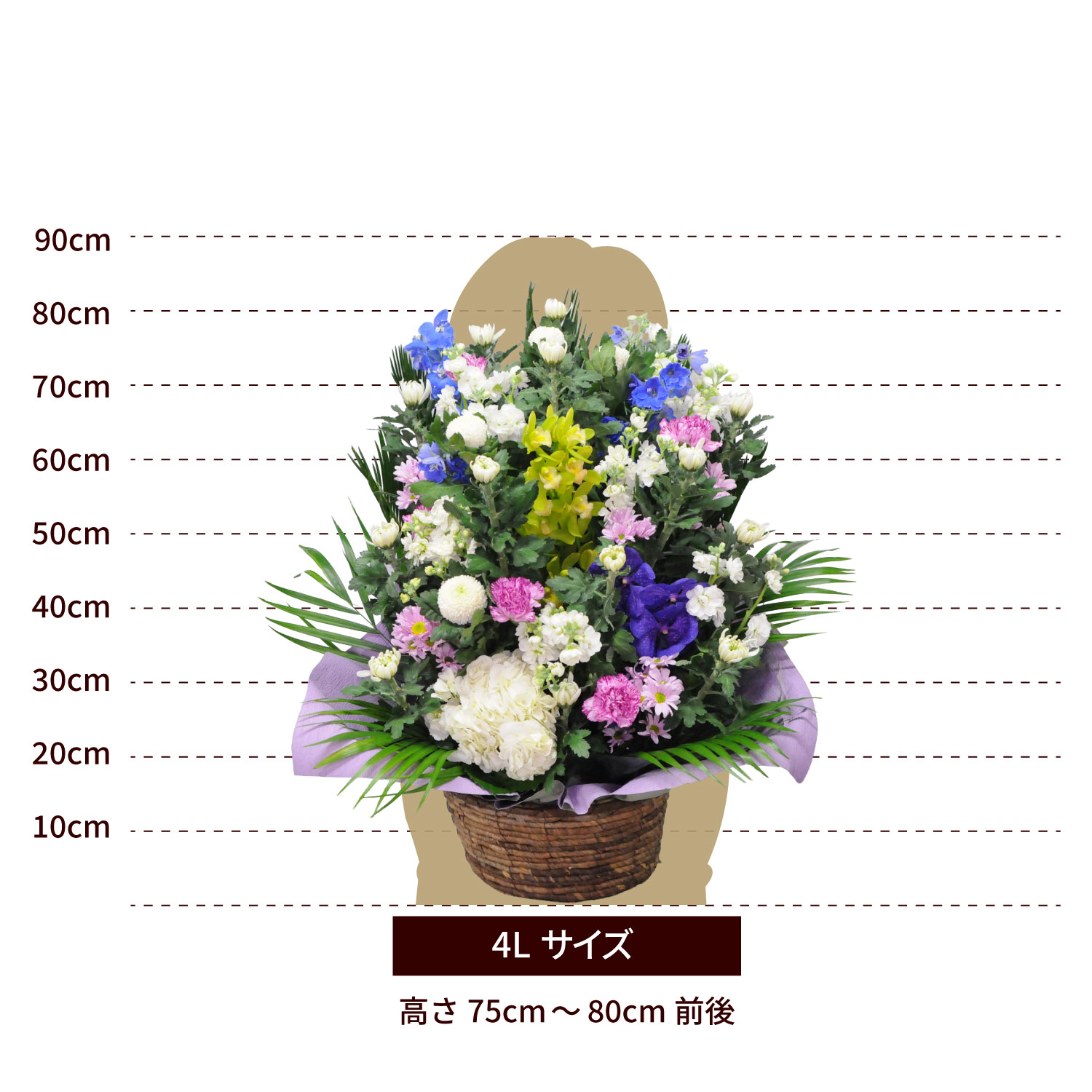 �������A�����W�����g�T�C�Y 4L