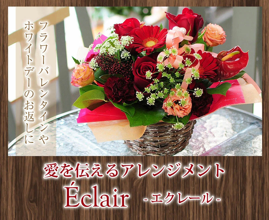 �o�����^�C�� �A�����W�����g �G�N���[��