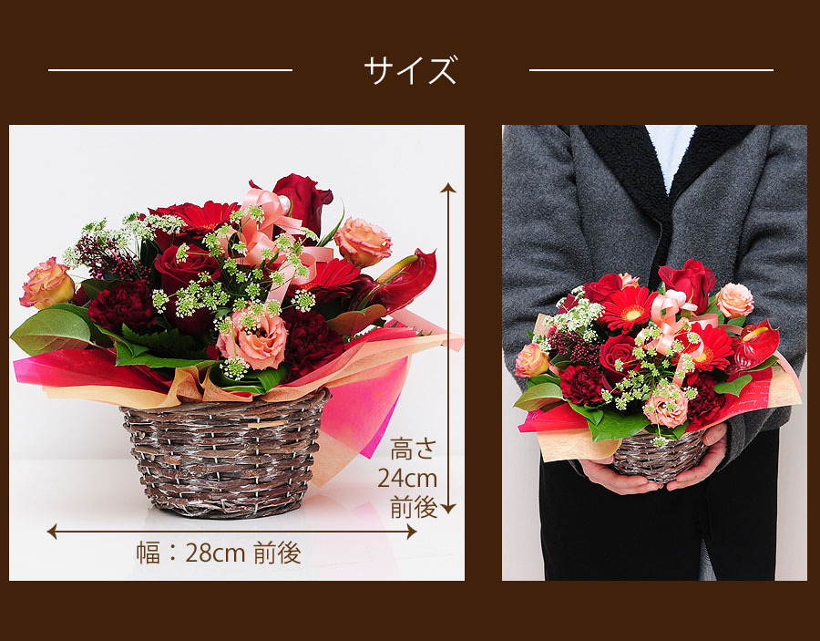 �T�C�Y�́A�����F24cm�~���F28cm�O��