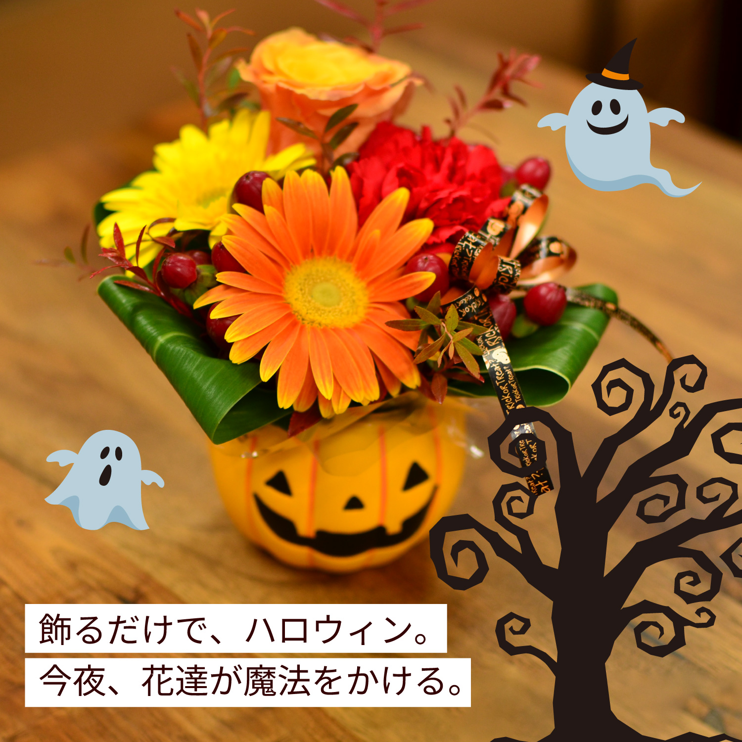 �C���[�W�摜