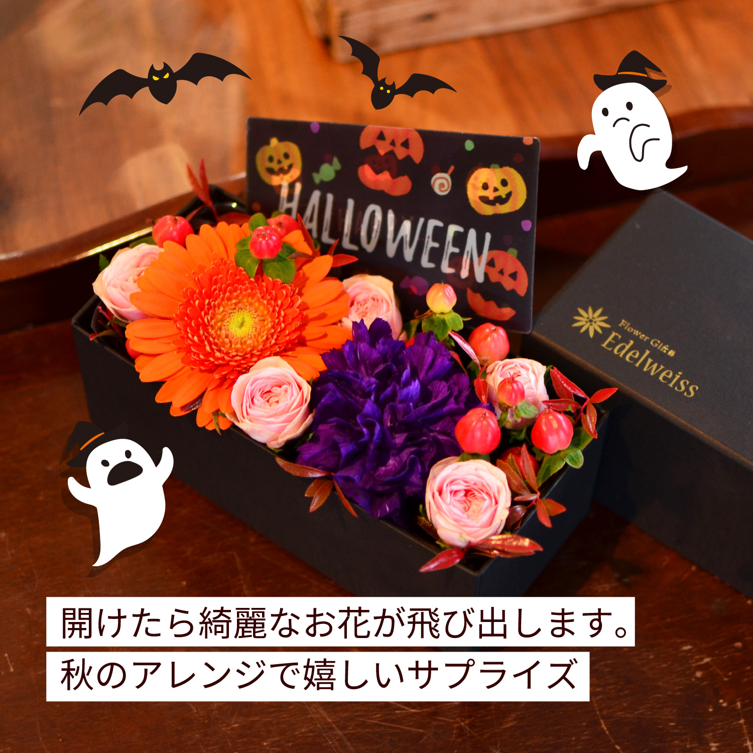 �C���[�W�摜