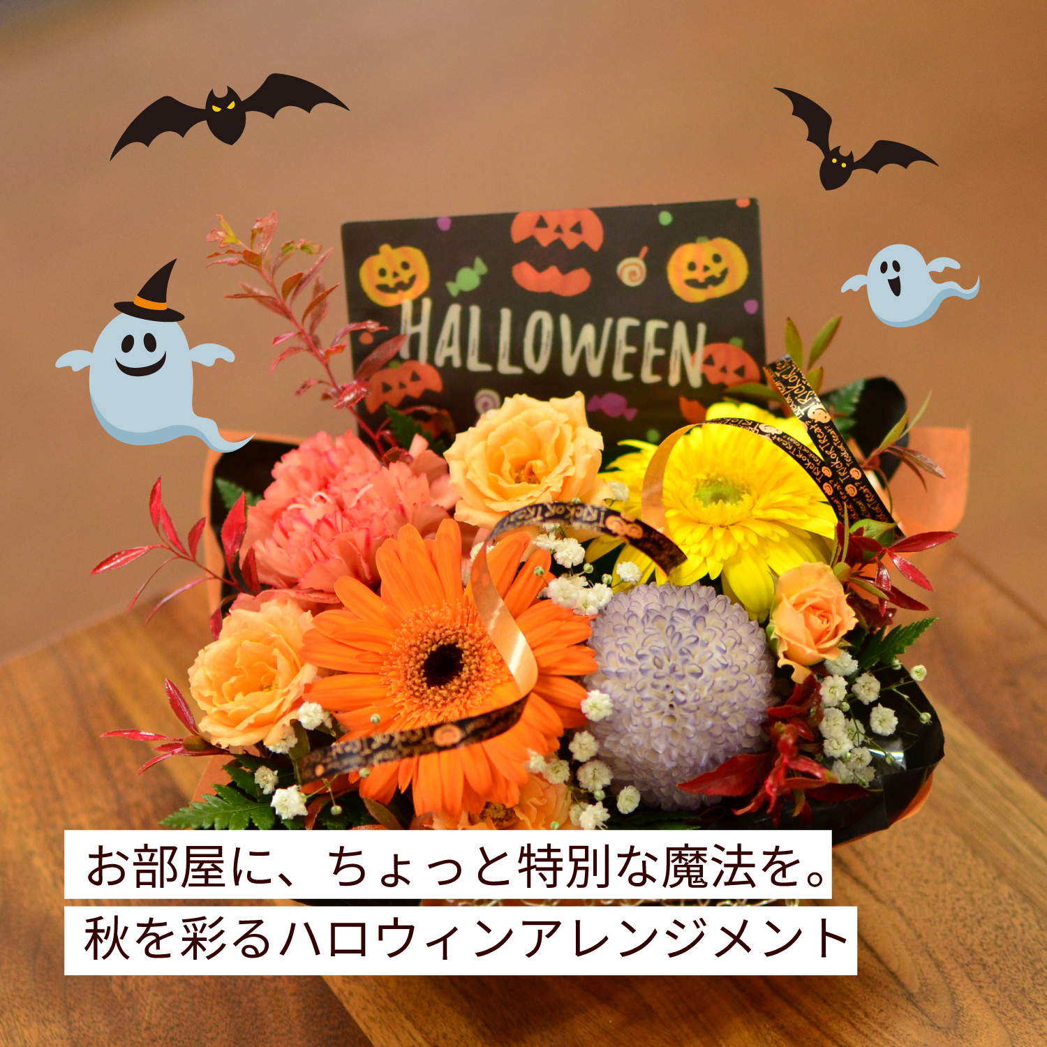 �C���[�W�摜