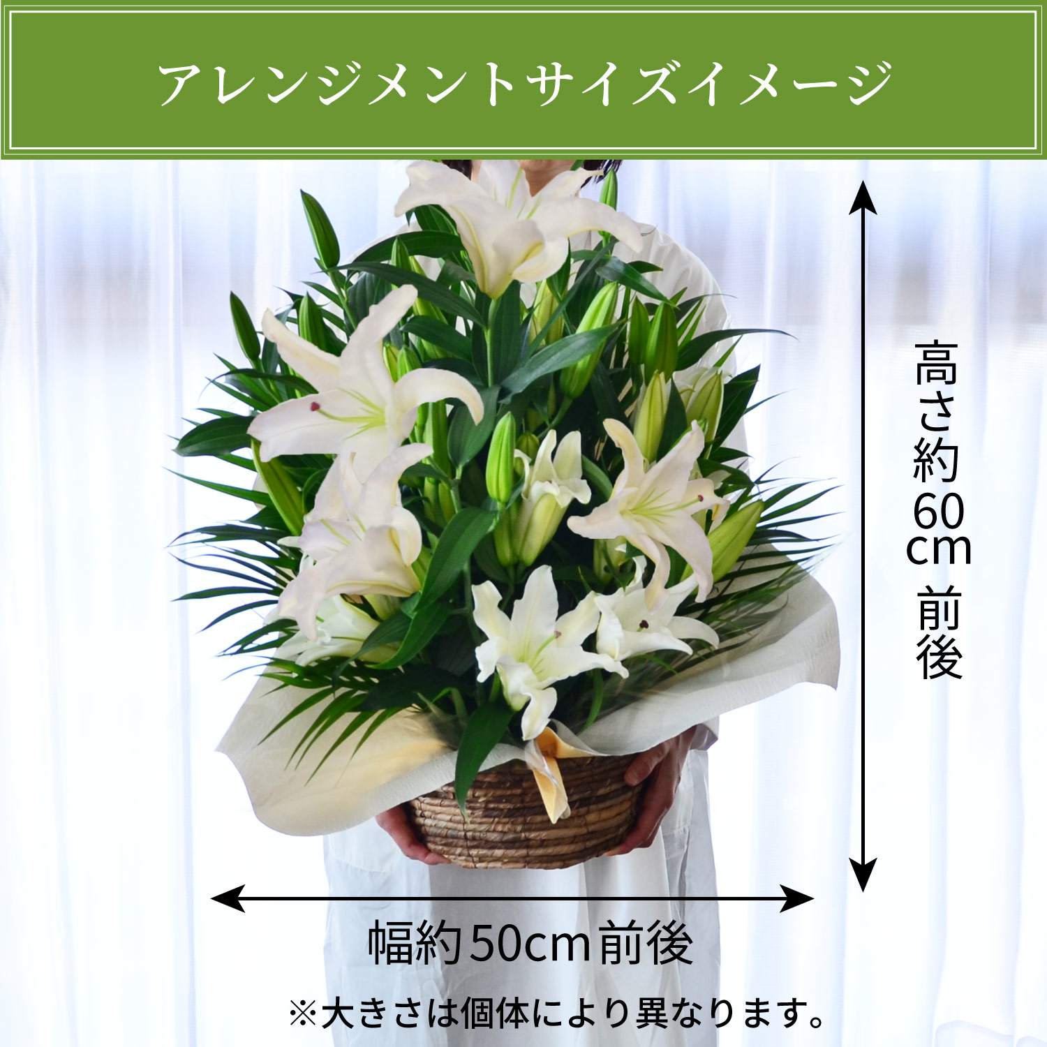 �T�C�Y�C���[�W
