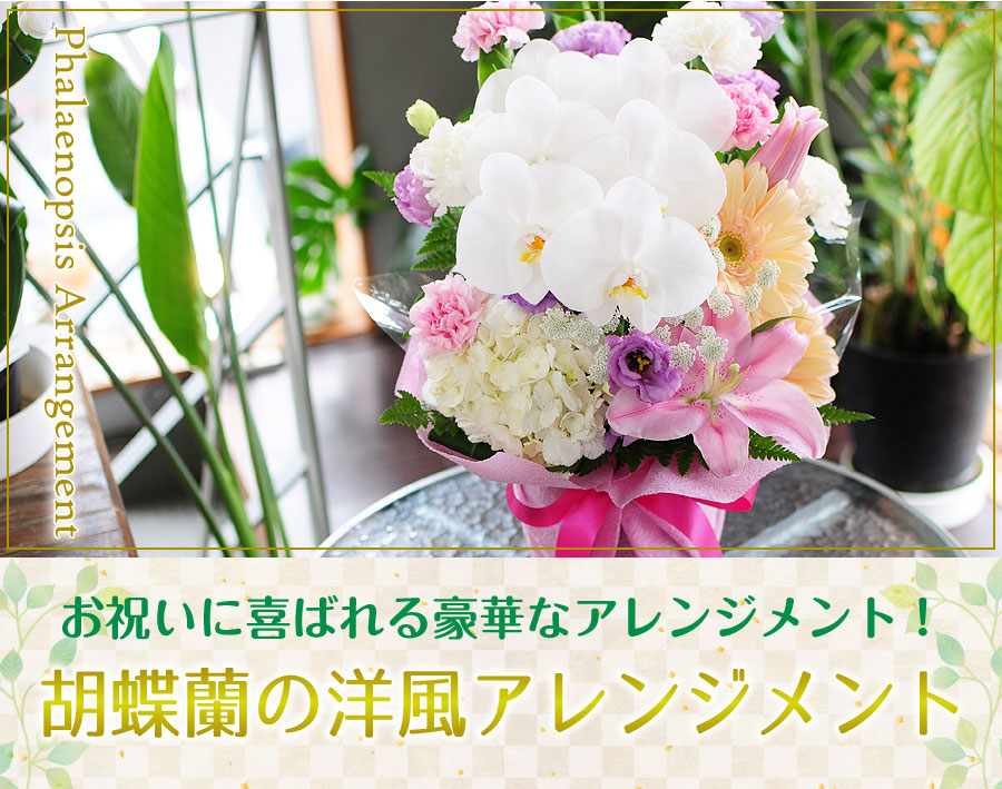 胡蝶蘭の洋風アレンジメント。お祝いにも、お供えにもお使いいただけます！