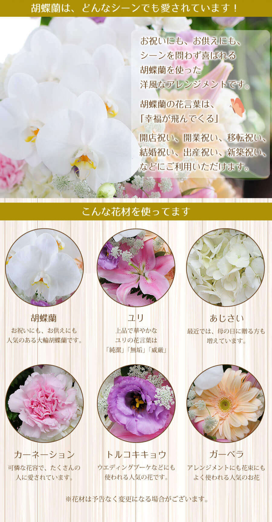 胡蝶蘭の洋風アレンジメントLサイズお供え花材