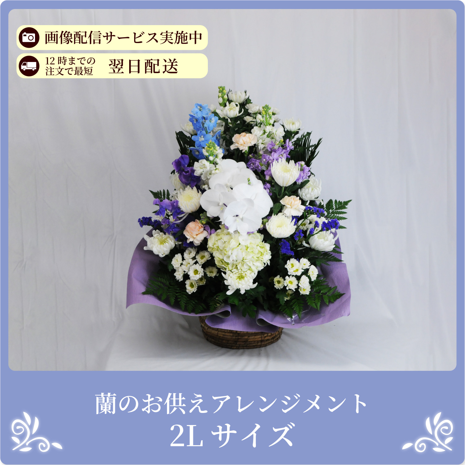 ���̂������A�����W�����gM