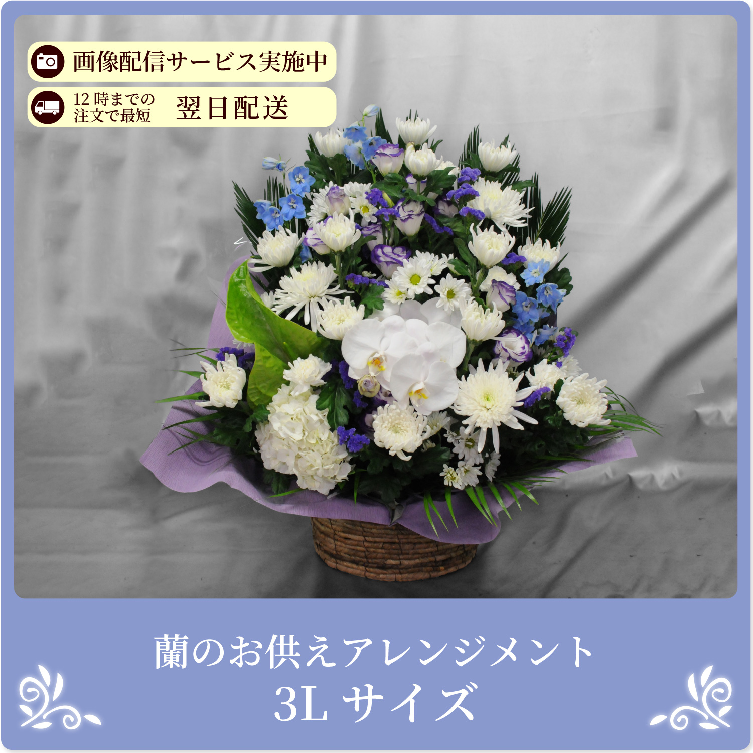 ���̂������A�����W�����gM