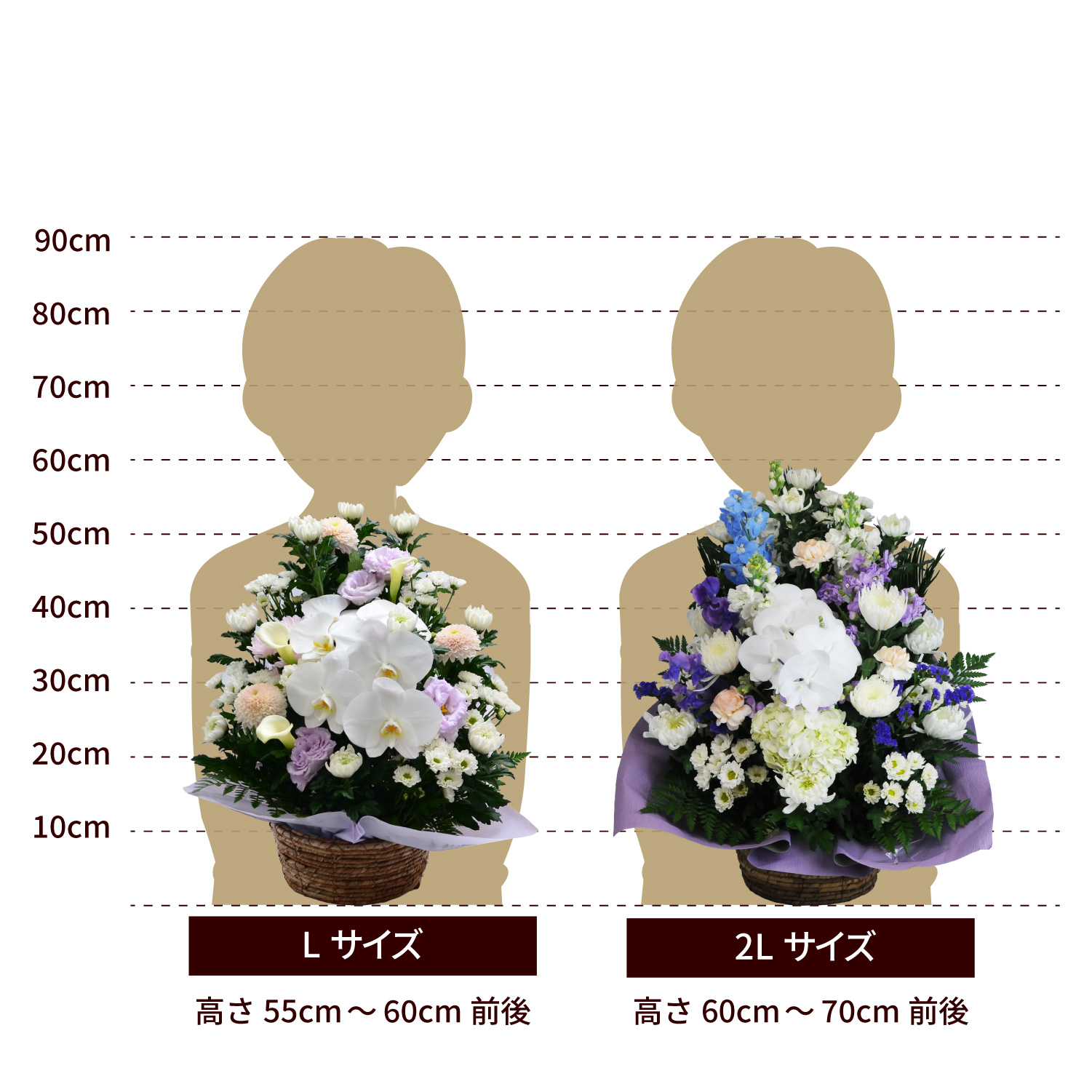 ���̂������A�����W�����g�T�C�Y L 3l