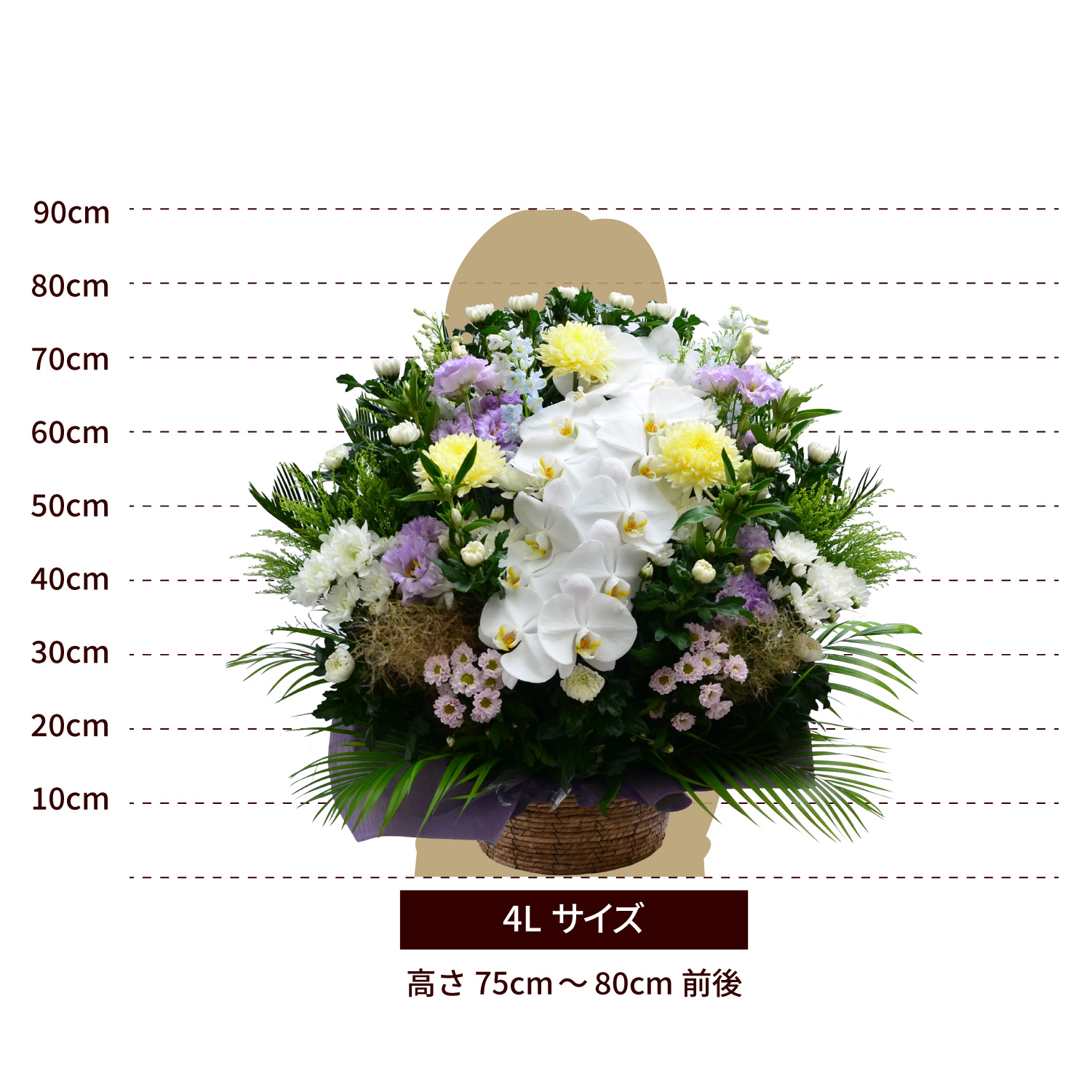 ���̂������A�����W�����g�T�C�Y 4L