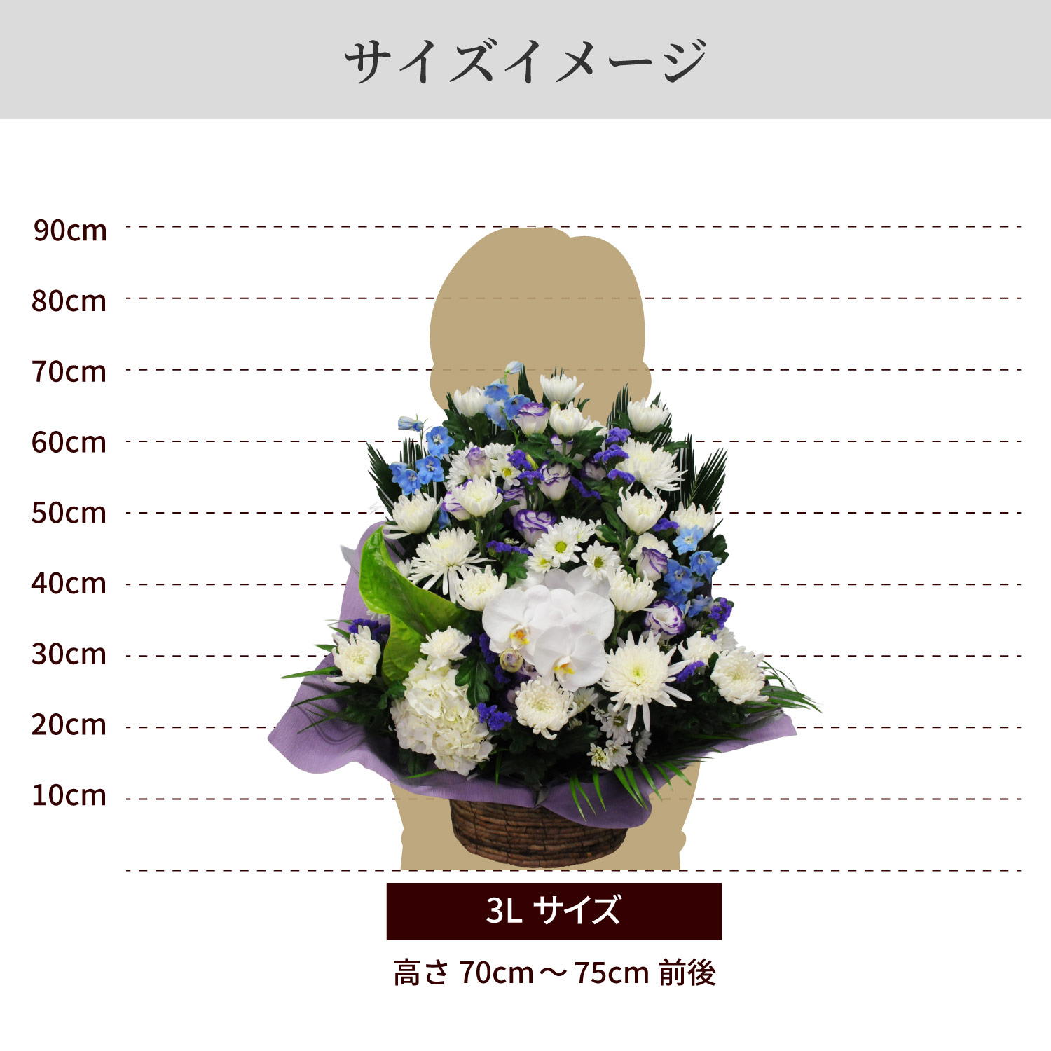 �T�C�Y�C���[�W