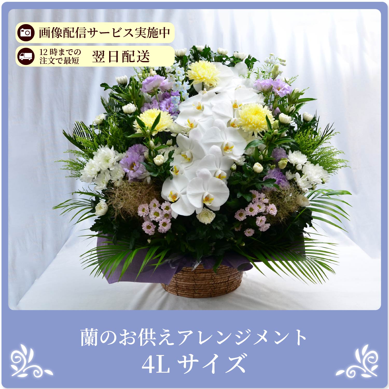 ���̂������A�����W�����gM