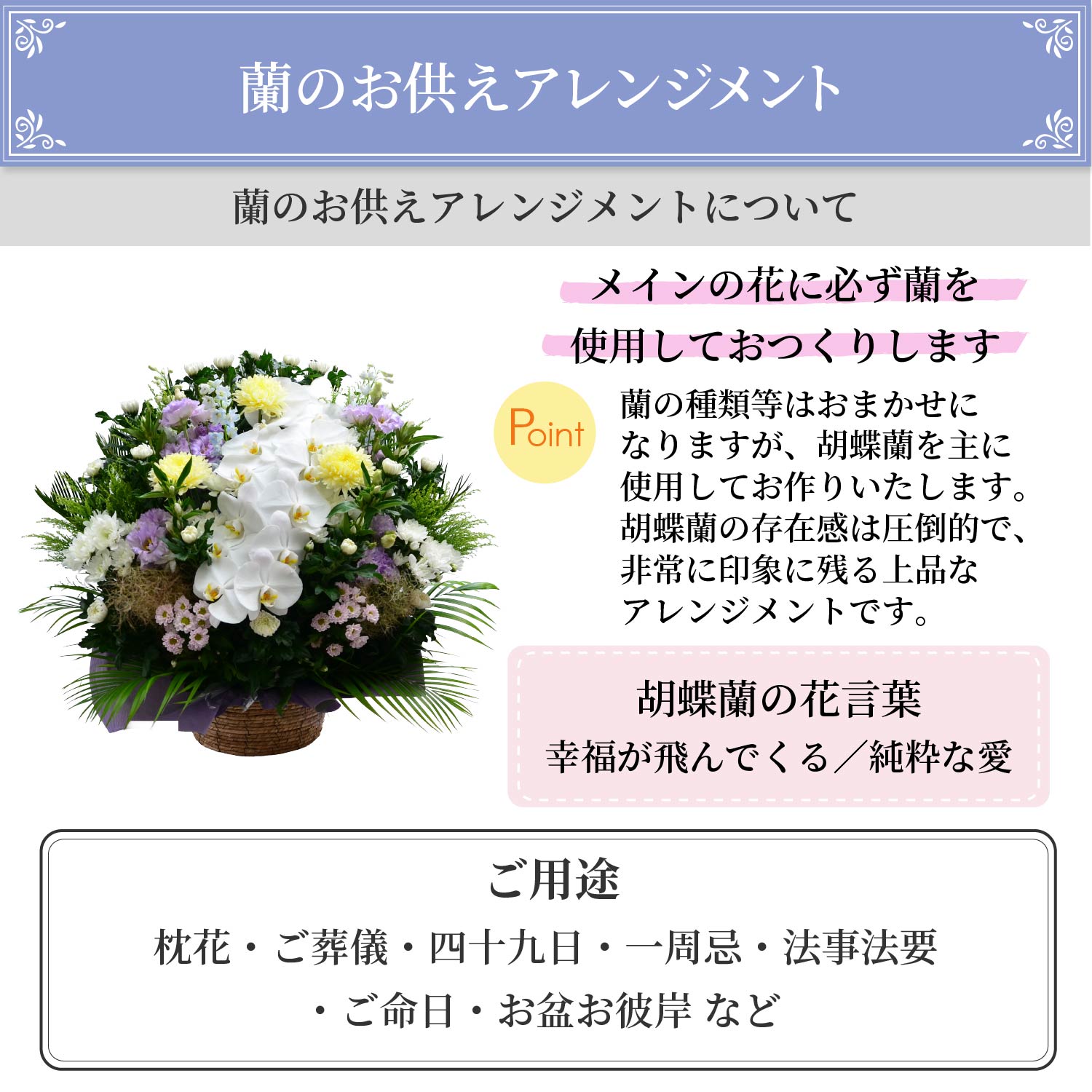 ���̂������A�����W�����g�ɂ���