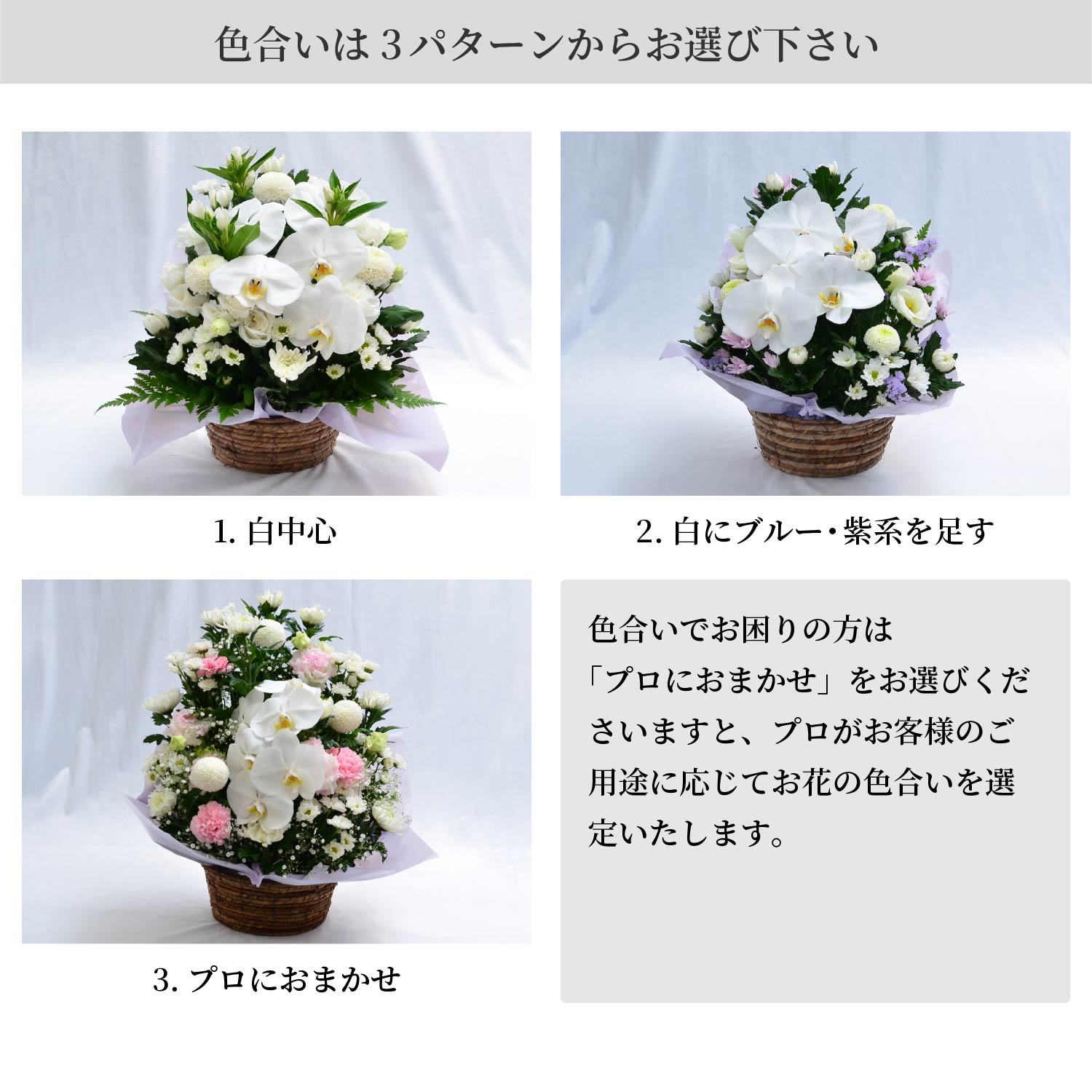 �F������3�p�^�[�����炨�I�т�������