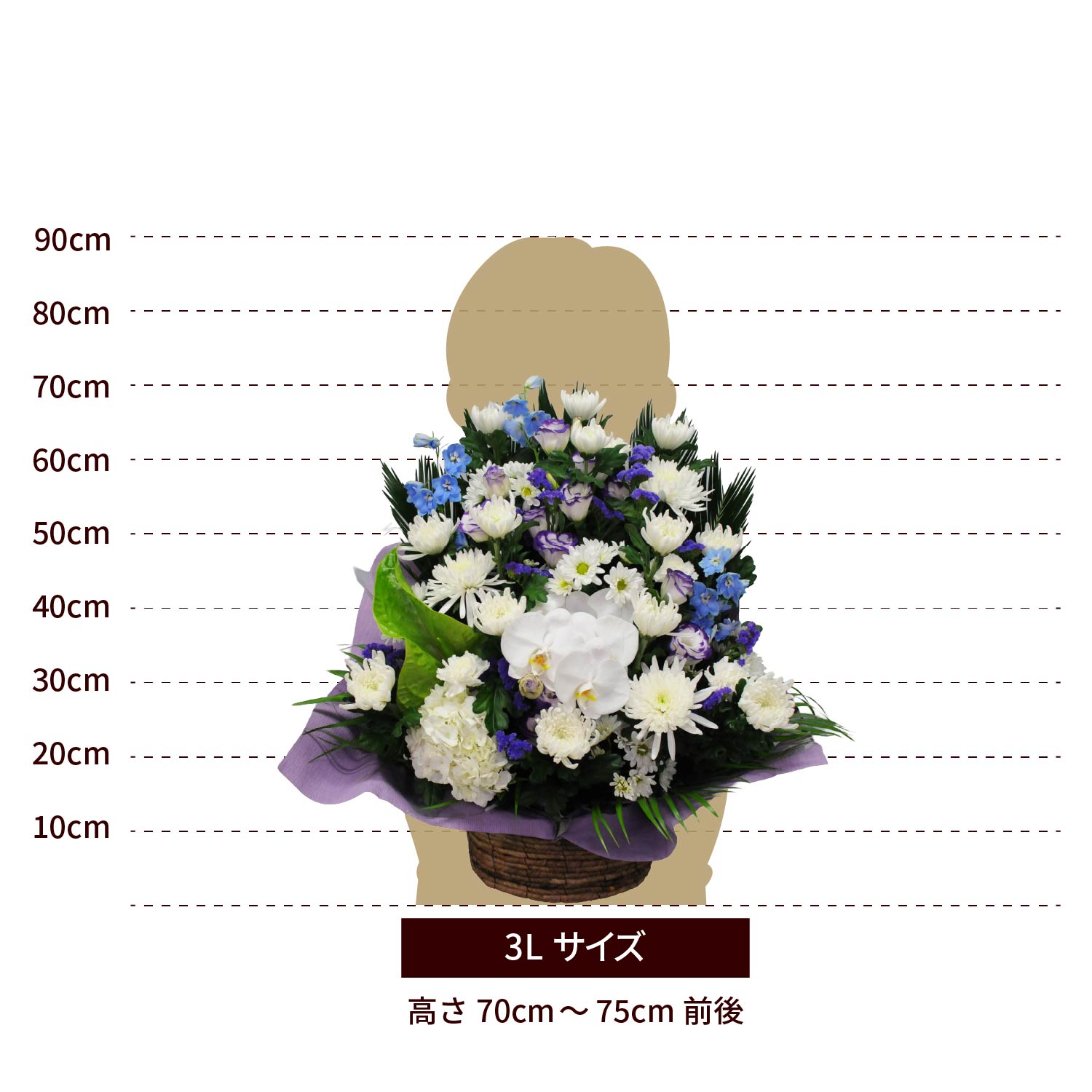 ���̂������A�����W�����g�T�C�Y 4l