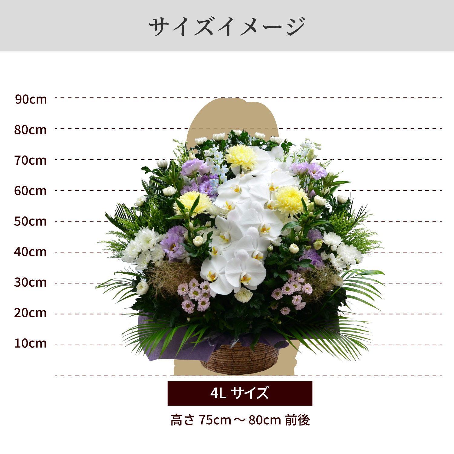 �T�C�Y�C���[�W