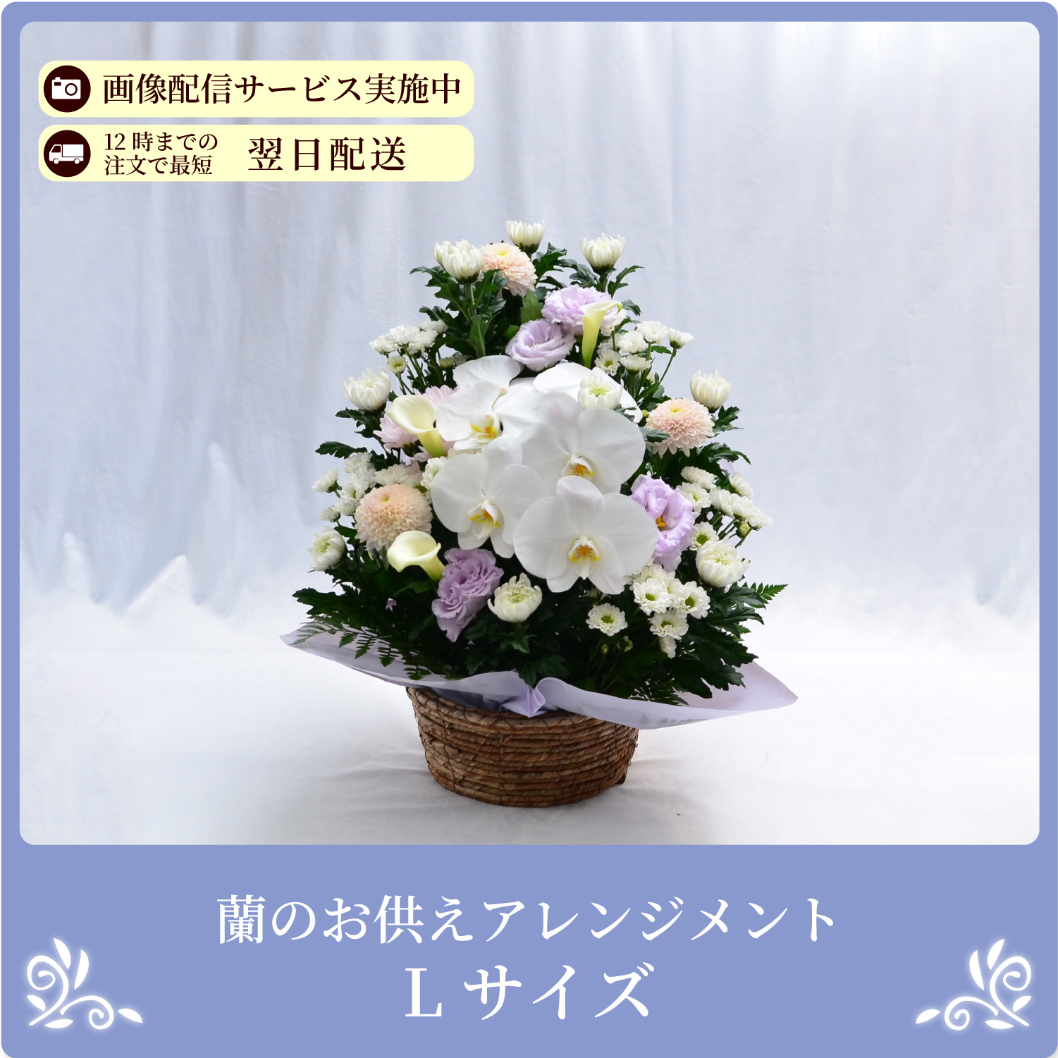 ���̂������A�����W�����gM