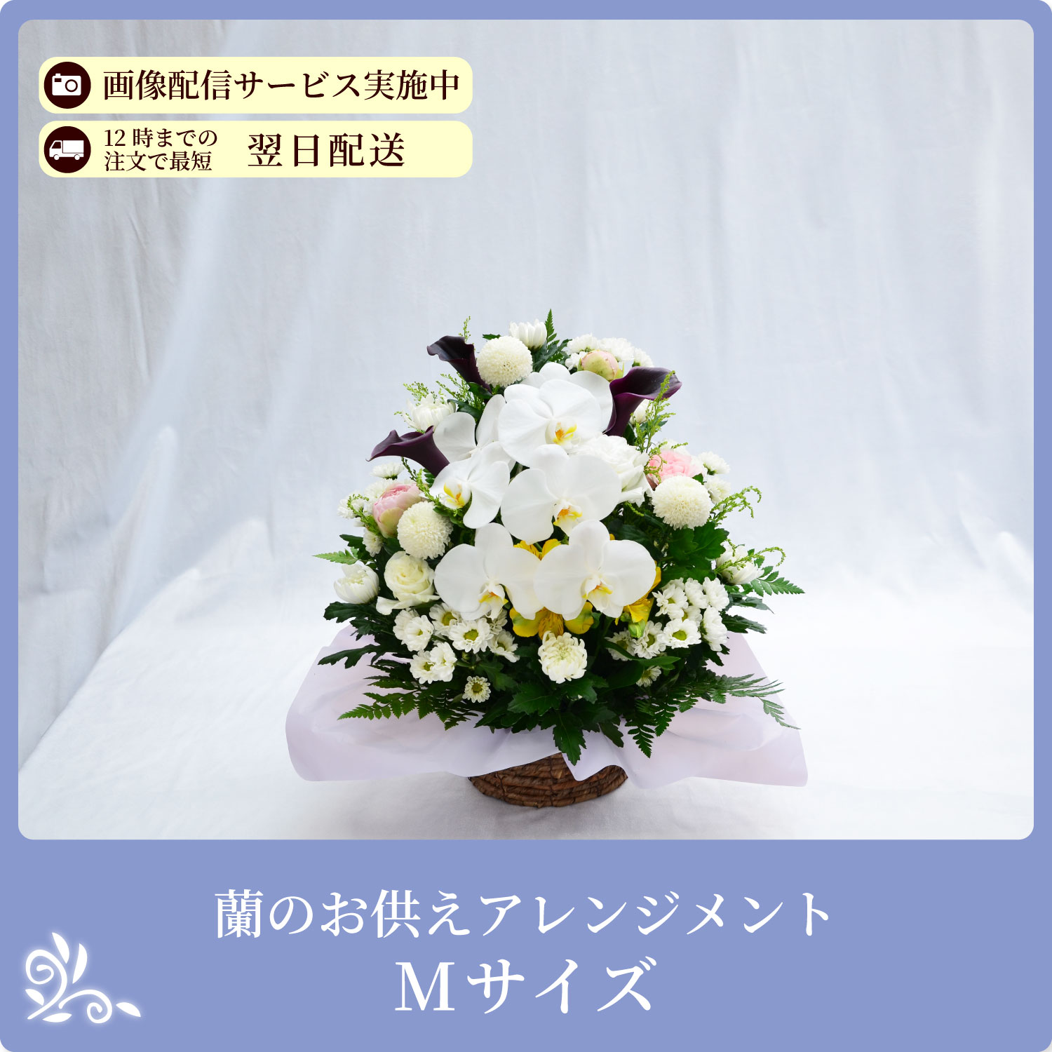 ���̂������A�����W�����gM