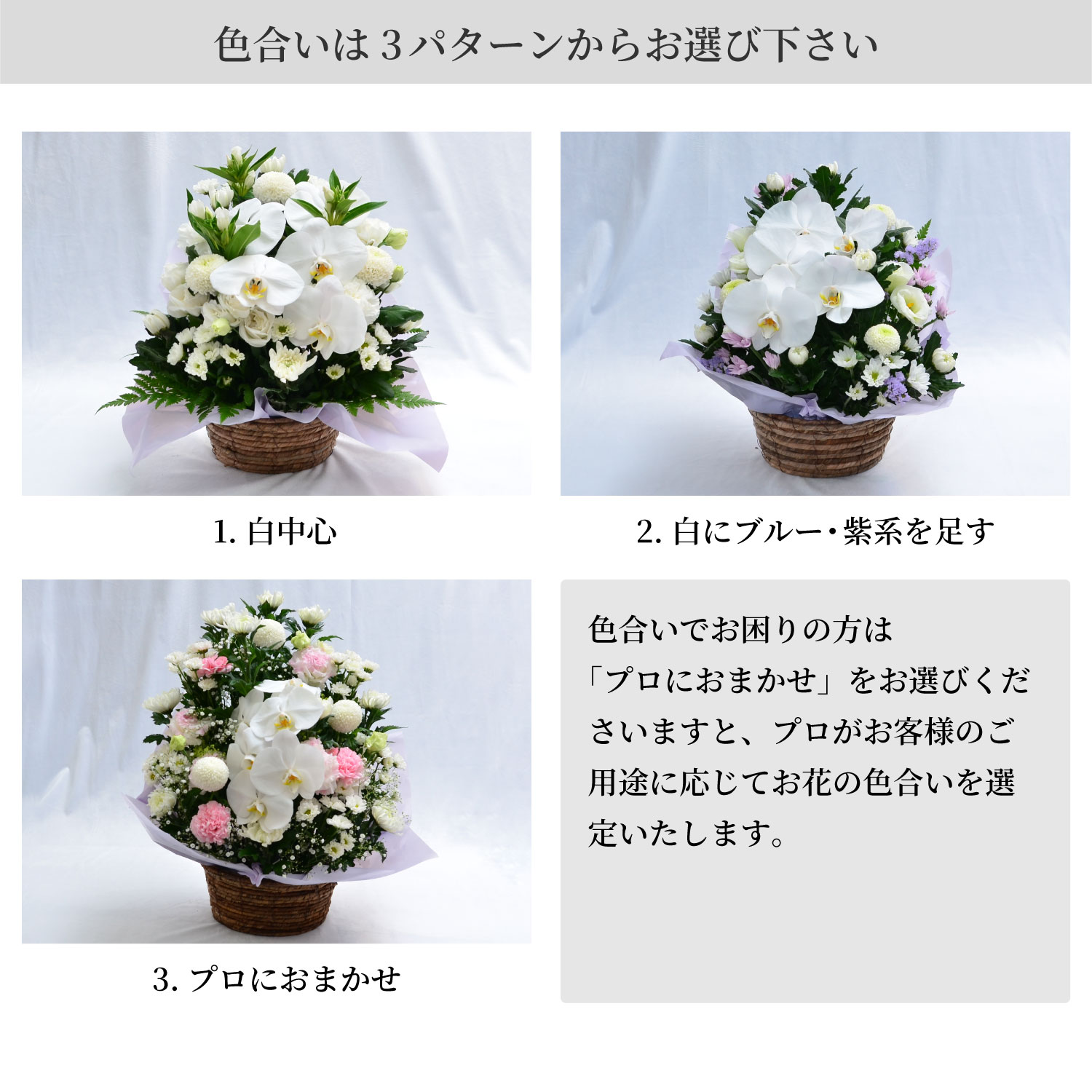 �F������3�p�^�[�����炨�I�т�������