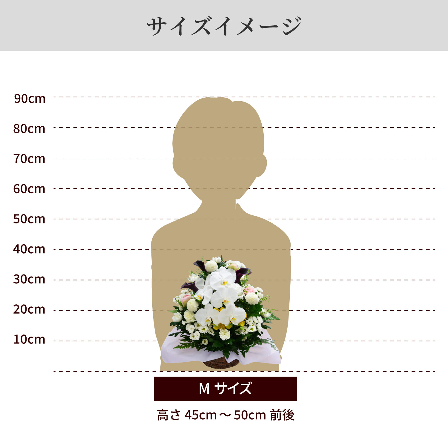 �T�C�Y�C���[�W