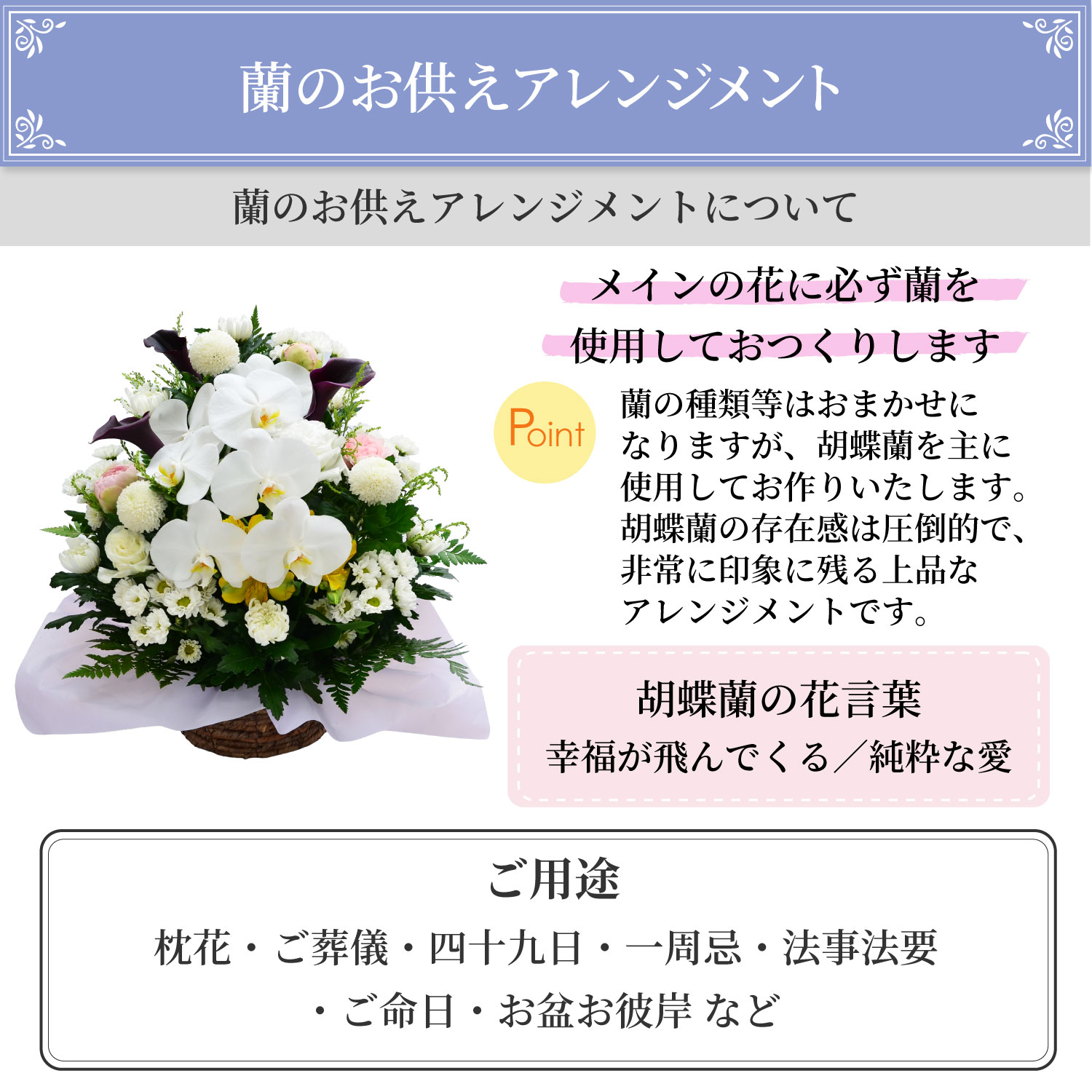 ���̂������A�����W�����g�ɂ���