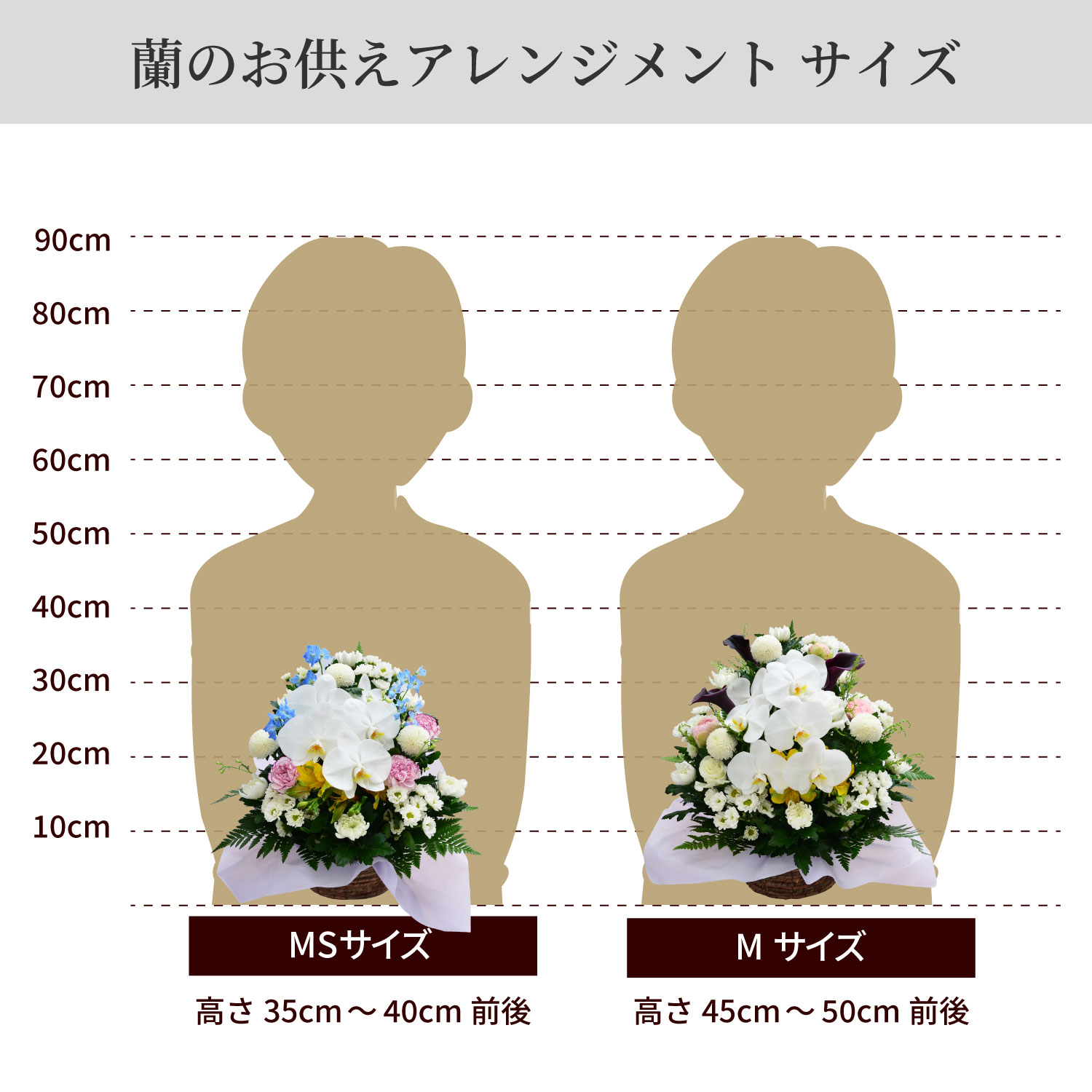 ���̂������A�����W�����g�T�C�Y MS M