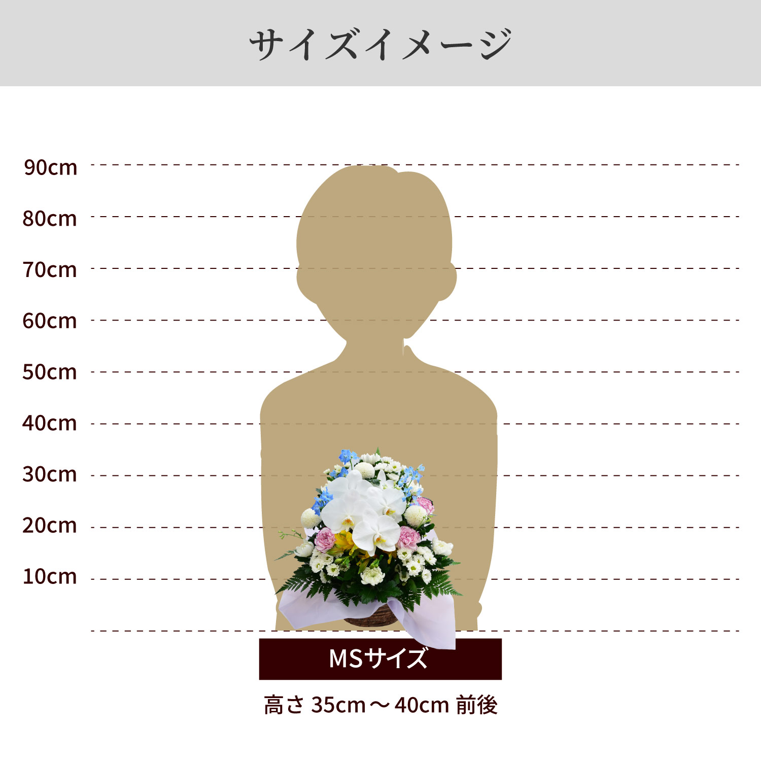 �T�C�Y�C���[�W