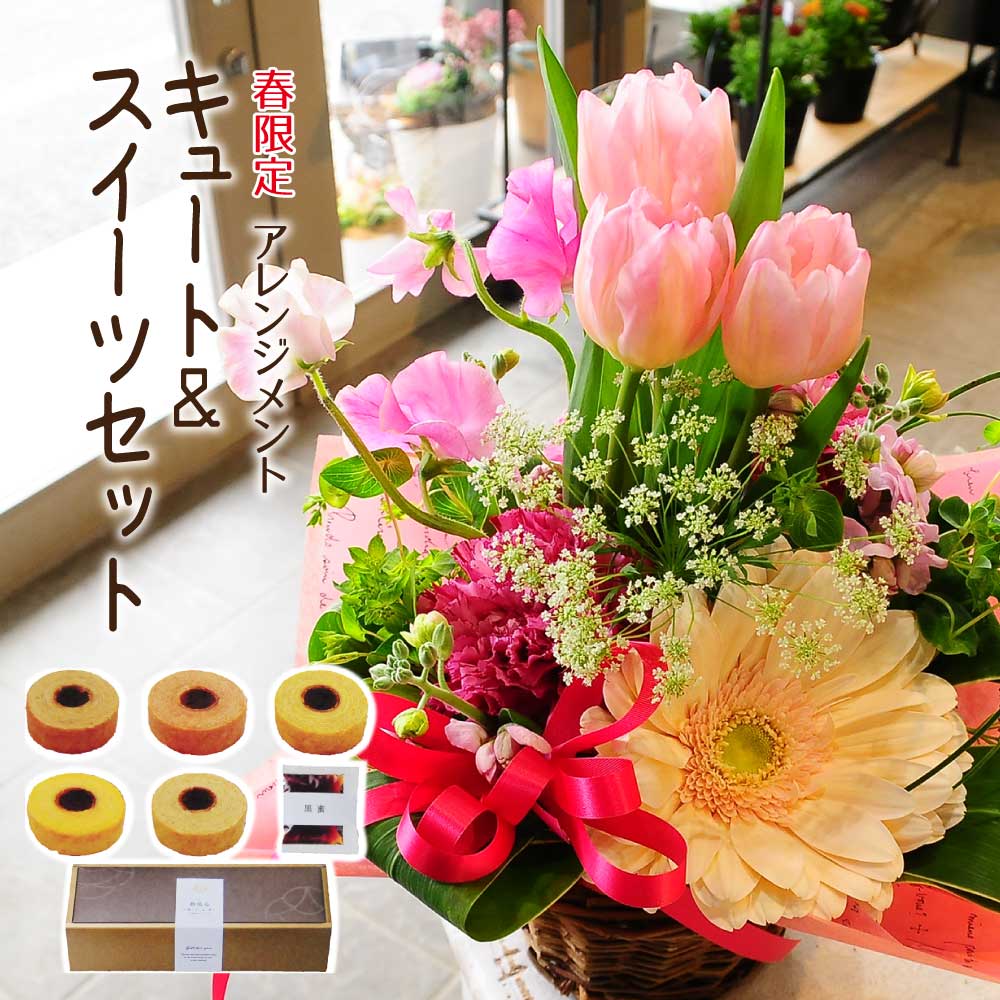 春限定アレンジメント キュート スイーツセット 母の日に贈る 花とスイーツのセットギフト エーデルワイス 花の贈り物 フラワーギフト通販 花宅配 水戸市 春限定アレンジメント キュート スイーツセット 母の日に贈る 花とスイーツのセットギフト エーデルワイス 花の贈り物 フラワーギフト通販 花宅配 水戸市
