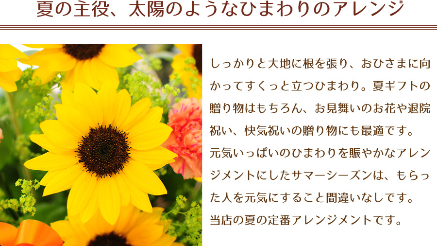 ひまわりのアレンジメント サマーシーズン Lサイズ ひまわりの花贈り エーデルワイス 花の贈り物 フラワーギフト通販 花宅配 水戸市