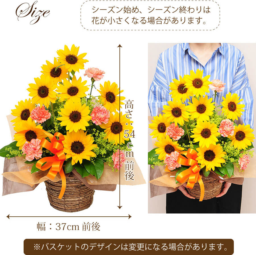 ひまわりのアレンジメント サマーシーズン Lサイズ ひまわりの花ギフト ひまわりの花束 アレンジメントなどのフラワーギフト エーデルワイス 花の贈り物 フラワーギフト通販 花宅配 水戸市