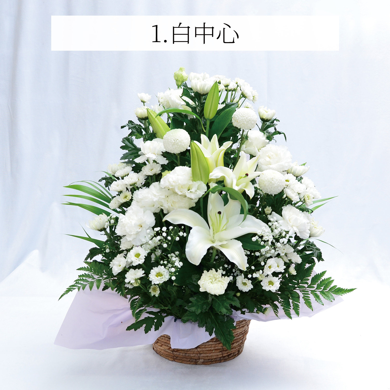 �S���̂������A�����W�����gL�T�C�Y