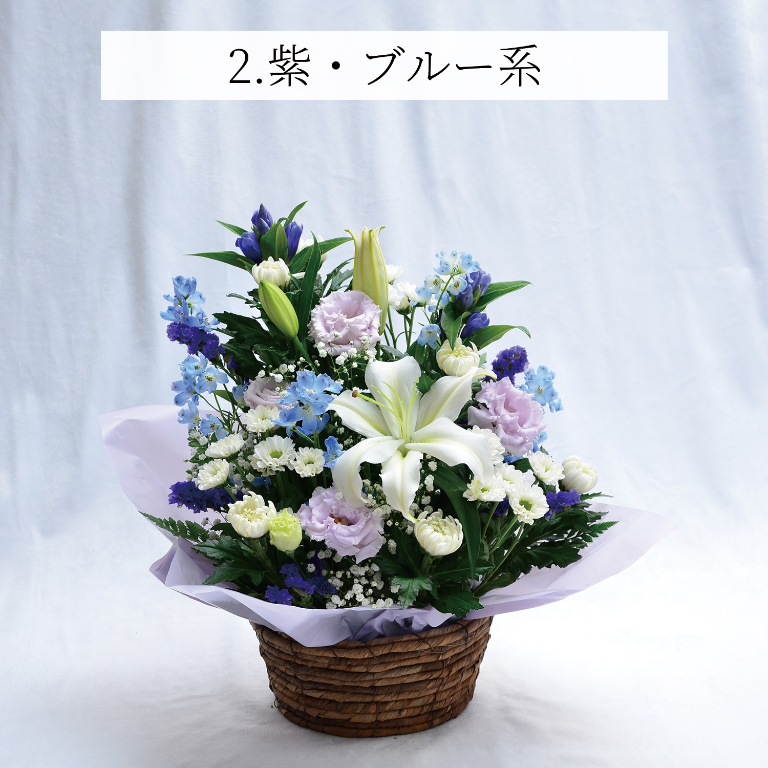 �S���̂������A�����W�����gMS�T�C�Y