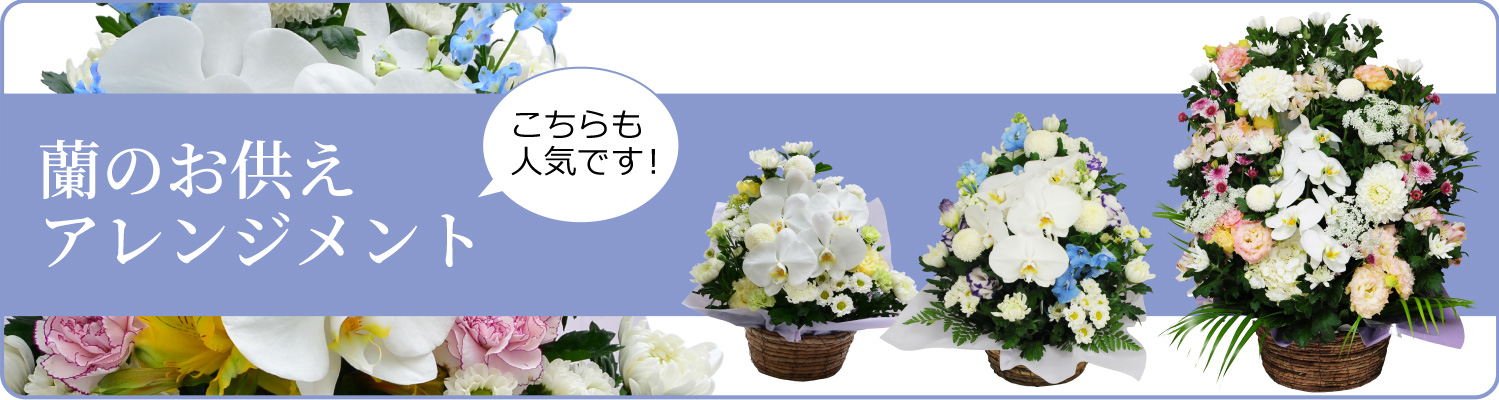 ���̂������A�����W�����g