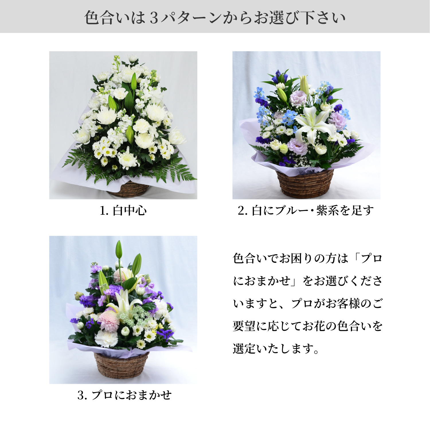 �F������3�p�^�[�����炨�I�т�������