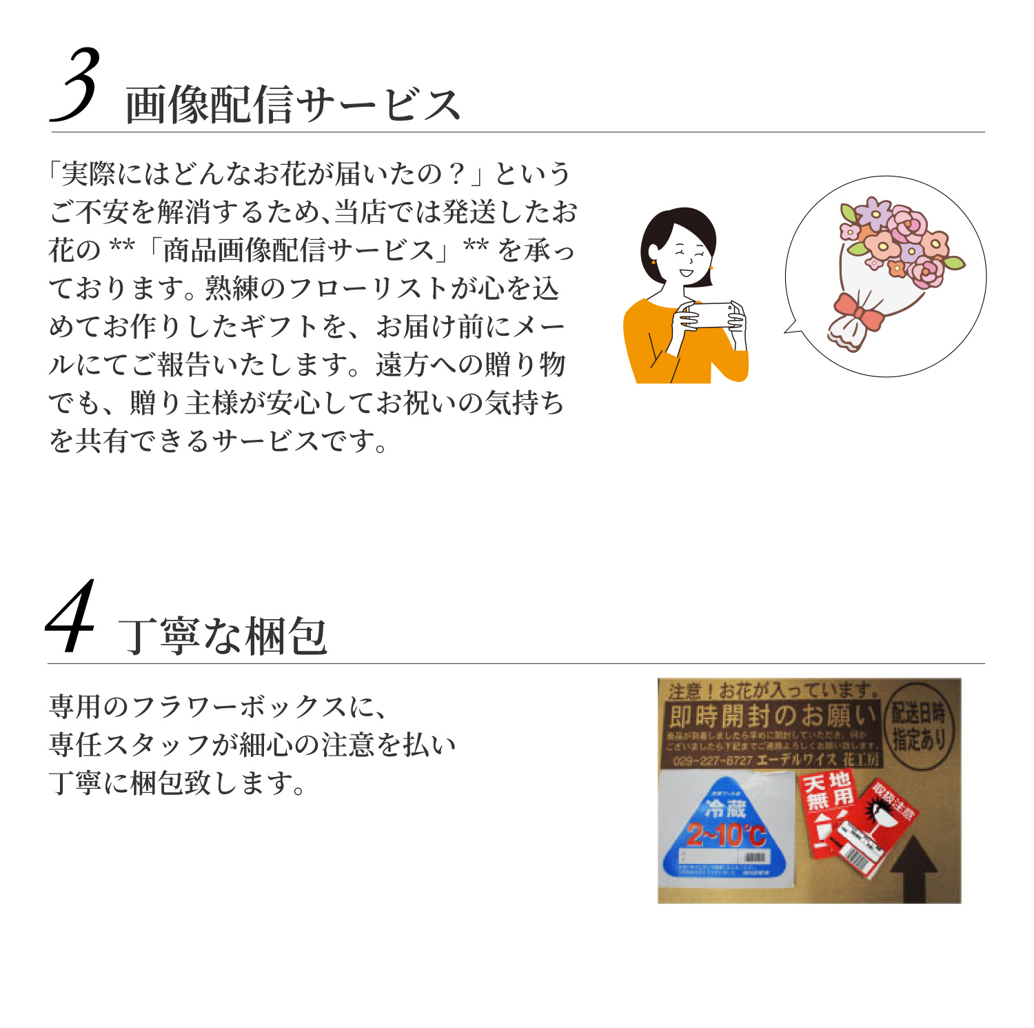 �摜�z�M�T�[�r�X�^���J�ȍ���