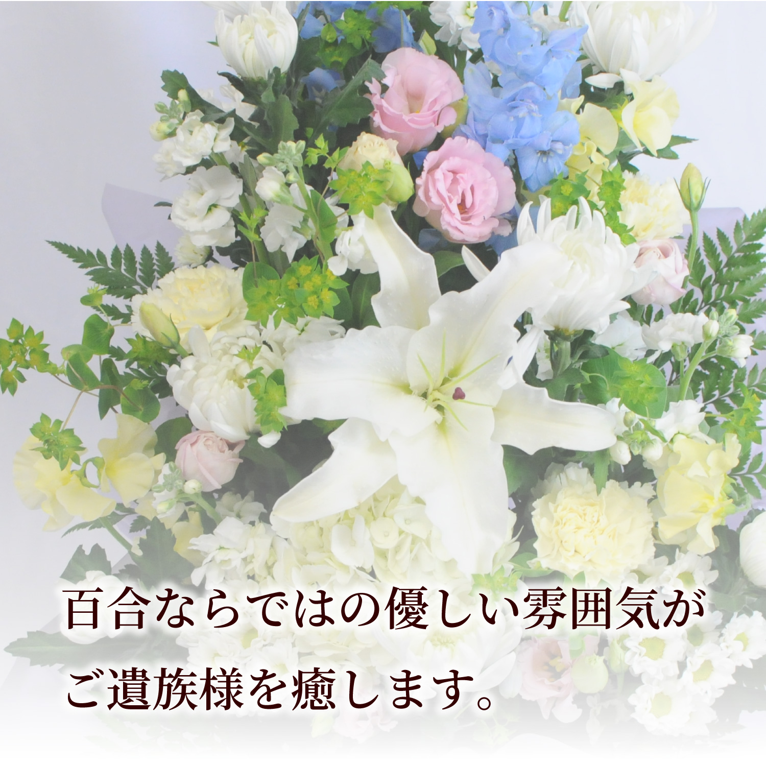 �S���Ȃ�ł̗͂D�������͋C�����⑰�l������܂��B